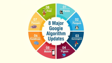 Google Algorithm Updates