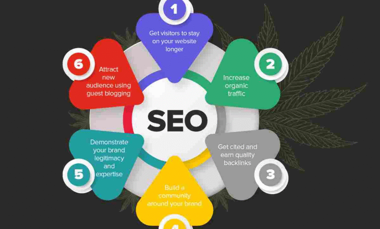 Video SEO for CBD