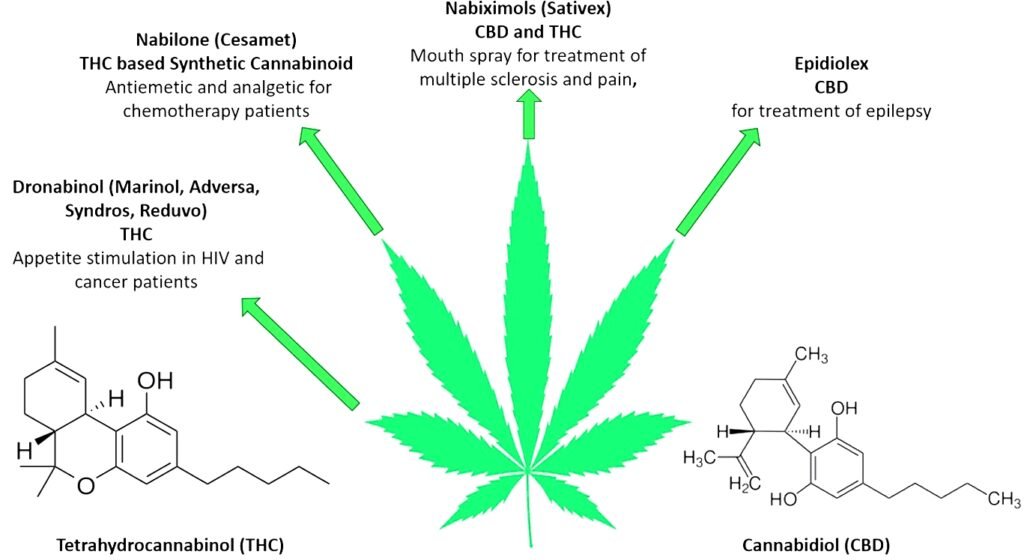 A Short History of CBD Oil in UK