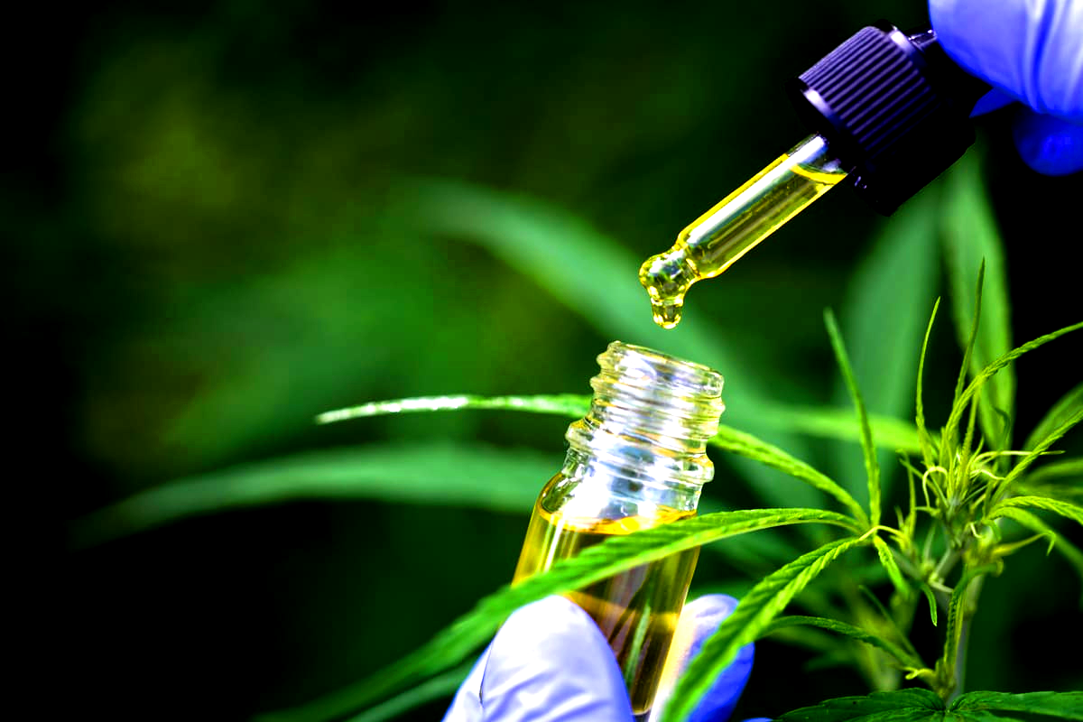 Can You Take Overdose of CBD Oil?
