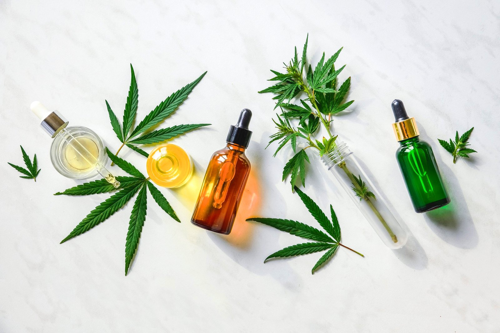 What Is CBD? A Beginner’s Guide to Cannabidiol 
