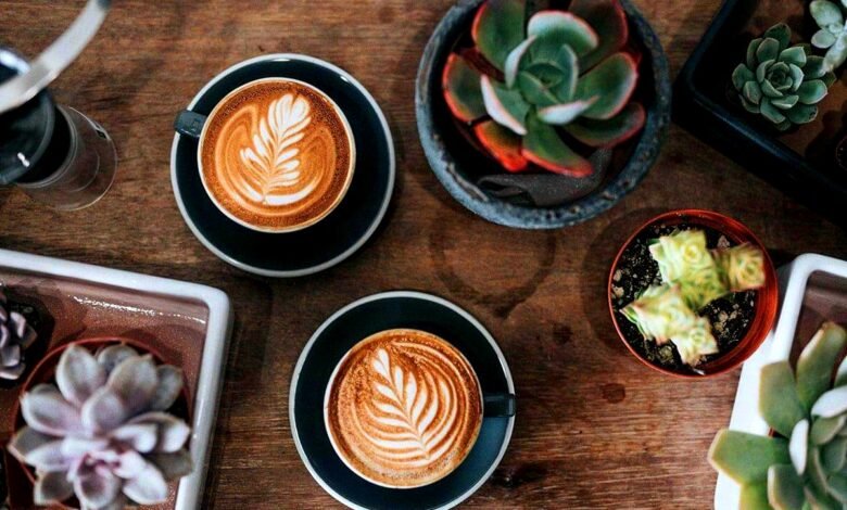 CBD Coffee vs CBD Tea