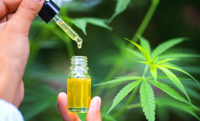 CBD Supports Mental Clarity