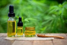 CBD Oils for Beginners
